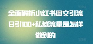 全面解析小红书图文引流日引100+私域流量是怎样做到的【揭秘】-闪越社