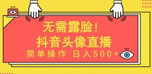 无需露脸，Ai头像直播项目，简单操作日入500+【揭秘】-闪越社