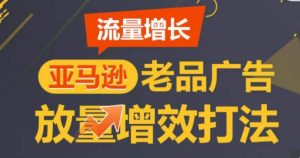 亚马逊流量增长-老品广告放量增效打法，循序渐进，打造更多TOP listing​-闪越社