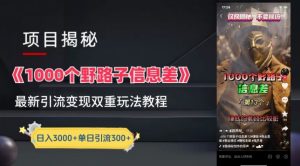 一千个野路子信息差最新玩法教程-变现+引流的玩法具体拆解【揭秘】-闪越社