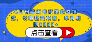 4月份蓝海电商撸收益技术,长期稳定项目,单月利润5000+【揭秘】-闪越社