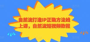 自然流打造IP正确方法线上课，自然流短视频教程-闪越社