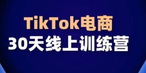 TikTok电商带货30天线上课,不可错过的全球流量洼地!-闪越社