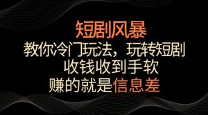 短剧风暴,教你冷门玩法,玩转短剧,收钱收到手软【揭秘】-闪越社