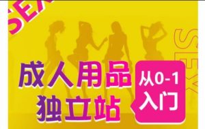 成人用品独立站从0-1入门,成品独立站运营全流程教学,七大好卖成品独立站推荐-闪越社