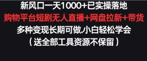 新风口一天1000+已实操落地购物平台短剧无人直播+网盘拉新+带货多种变现长期可做【揭秘】-闪越社
