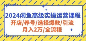 2024闲鱼高级实操运营课程:开店/养号/选择爆款/引流/月入2万/全流程-闪越社