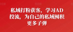 私域打粉获客,学习AD投流,为自己的私域囤积更多子弹-闪越社