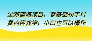 全新蓝海项目,零基础快手付费内容教学,小白也可以操作【揭秘】-闪越社
