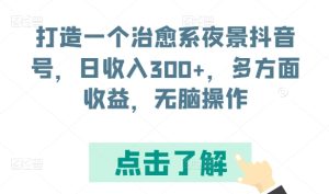 打造一个治愈系夜景抖音号,日收入300+,多方面收益,无脑操作【揭秘】-闪越社