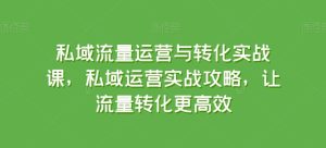 私域流量运营与转化实战课,私域运营实战攻略,让流量转化更高效-闪越社