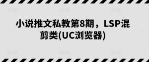 小说推文私教第8期，LSP混剪类(UC浏览器)-闪越社