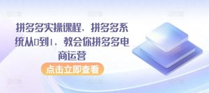 拼多多实操课程,拼多多系统从0到1,教会你拼多多电商运营-闪越社