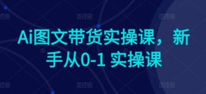 Ai图文带货实操课，新手从0-1 实操课-闪越社