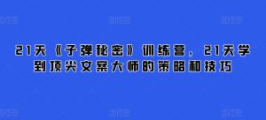 21天《子弹秘密》训练营，21天学到顶尖文案大师的策略和技巧-闪越社