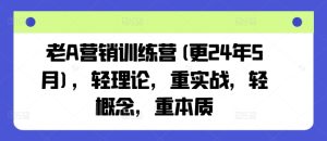 老A营销训练营(更24年5月),轻理论,重实战,轻概念,重本质-闪越社