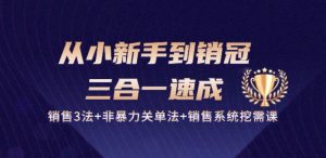 从小新手到销冠 三合一速成：销售3法+非暴力关单法+销售系统挖需课 (27节)-闪越社