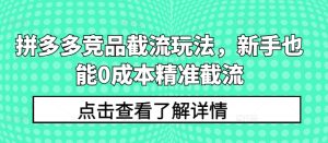 拼多多竞品截流玩法，新手也能0成本精准截流-闪越社
