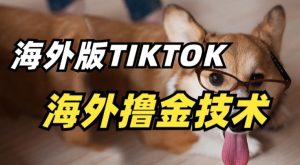 抖音海外版tiktok撸金技术,这个风口行业,赚钱真的不难【揭秘】-闪越社