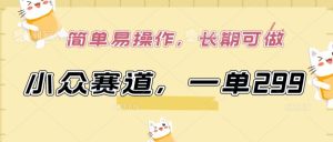 小众赛道,一单299.简单易操作,长期可做【揭秘】-闪越社