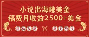 小说出海赚美金，稿费月收益2500+美金，仅需chatgpt粘贴复制，新手也能玩转【揭秘】-闪越社