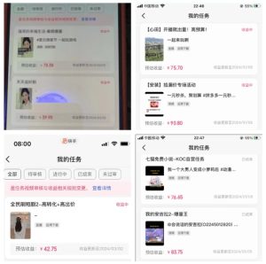 2024年3月最新,快手磁力聚星全流程实操教学,8台手机日均收益稳定100~200元【揭秘】-闪越社