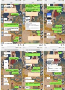 云起龙骧|15天纯利10W+，国学掘金计划玩法全网首次公开【揭秘】-闪越社