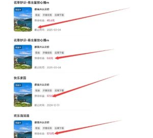 磁力聚星游戏副业陪跑训练营1.0，长期稳定项目，有人一周干了1K+-闪越社