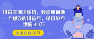 抖音实训训练营,教你如何做一个赚钱的抖音号,单日单号增粉30万-闪越社