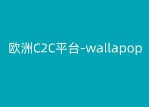 欧洲C2C平台-wallapop-kim跨境电商教程-闪越社