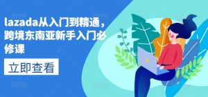 lazada从入门到精通，跨境东南亚新手入门必修课-闪越社