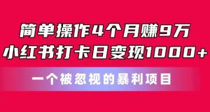 简单操作4个月赚9w,小红书打卡日变现1k,一个被忽视的暴力项目【揭秘】-闪越社