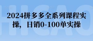 2024拼多多全系列课程实操，日销0-100单实操【必看】-闪越社