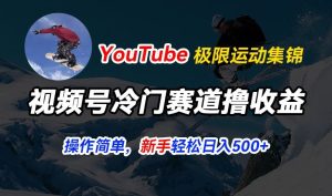 视频号冷门赛道撸收益,YouTube搬运极限运动集锦,暴力起号,操作简单流量高,轻松日入5张【揭秘】-闪越社