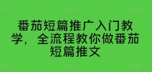 番茄短篇推广入门教学，全流程教你做番茄短篇推文-闪越社