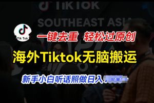 海外Tiktok短视频无脑搬运,一键去重轻松过原创,新手小白听话照做日入几张【揭秘】-闪越社