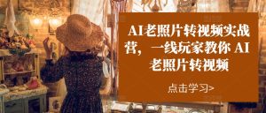 AI老照片转视频实战营,一线玩家教你AI老照片转视频-闪越社