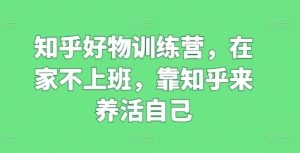 知乎好物训练营，在家不上班，靠知乎来养活自己-闪越社