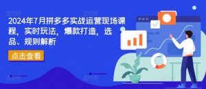 2024年7月拼多多实战运营现场课程,实时玩法,爆款打造,选品、规则解析-闪越社