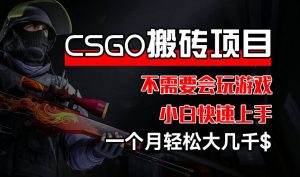 CSGO 装备搬砖项目,操作简单,不需要会玩游戏,小白也能快速上手,一个月轻松大几千【揭秘】-闪越社