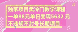 独家项目卖冷门教学课程一单88元单日变现5632元违规不封号长期项目【揭秘】-闪越社