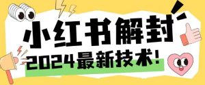 2024最新小红书账号封禁解封方法,无限释放手机号【揭秘】-闪越社