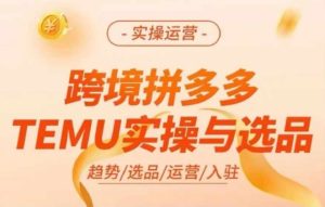跨境拼多多TEMU实操与选品，多多temu跨境选品运营实操-闪越社
