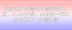 小红书IP打造60天实战营11期，5.0大升级，全网独一无二的自媒体IP打造课程-闪越社