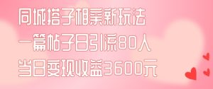 同城搭子相亲新玩法一篇帖子引流80人当日变现3600元(项目教程+实操教程)【揭秘】-闪越社
