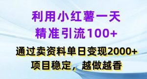 利用小红书一天精准引流100+,通过卖项目单日变现2k+,项目稳定,越做越香【揭秘】-闪越社