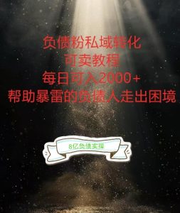 负债粉掘金计划，帮助负债者解决问题，债务规划，债务重组，最好的变现方式【揭秘】-闪越社