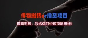 得物搬砖撸货项目?掰下数据,我给你们说说顶层思维【揭秘】-闪越社