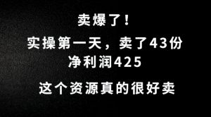 这个资源，需求很大，实操第一天卖了43份，净利润425【揭秘】-闪越社