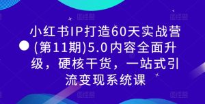 小红书IP打造60天实战营(第11期)5.0内容全面升级,硬核干货,一站式引流变现系统课-闪越社